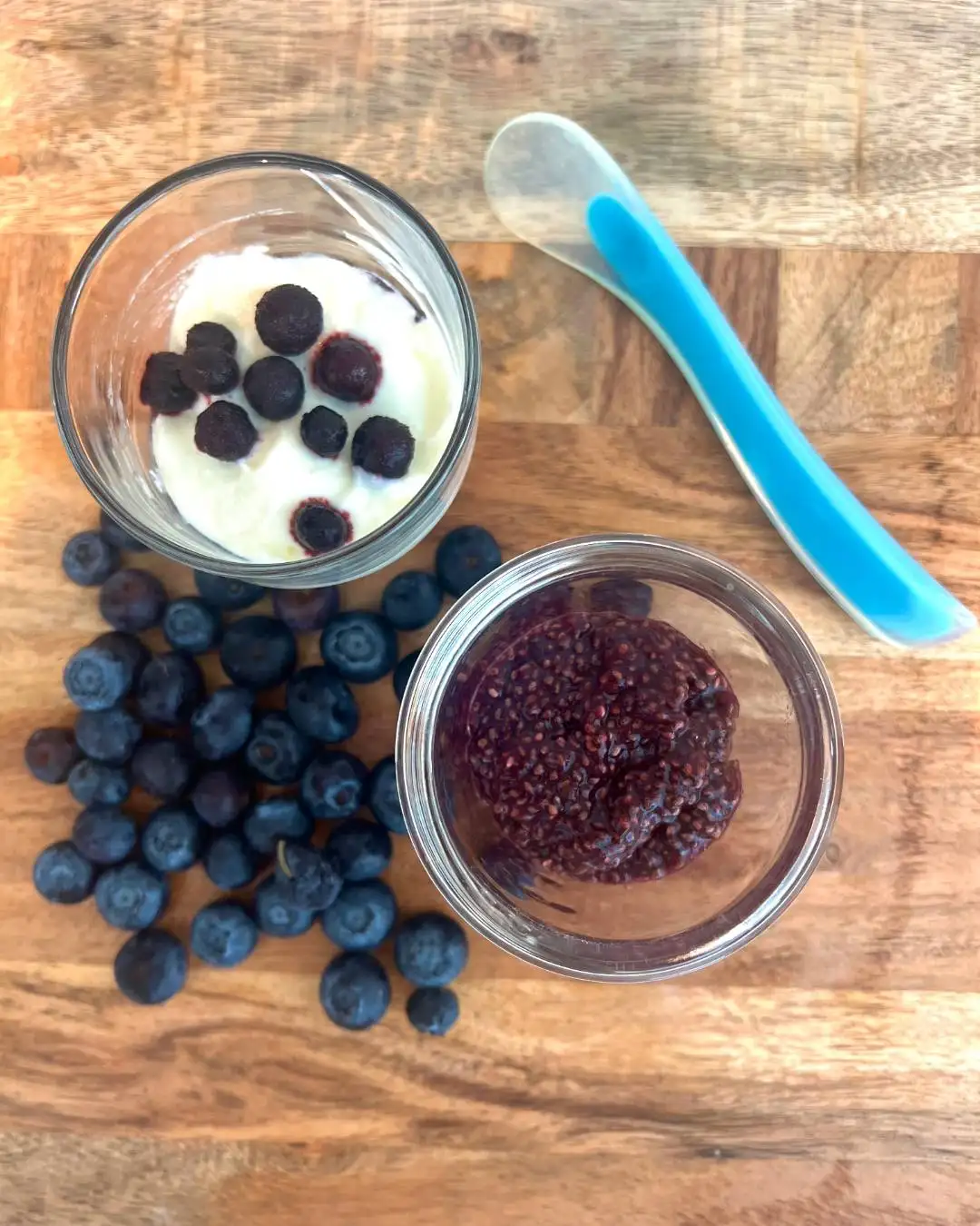 wild blueberry chia pudding