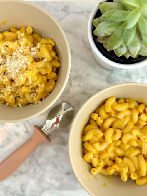Creamy Pumpkin Pasta