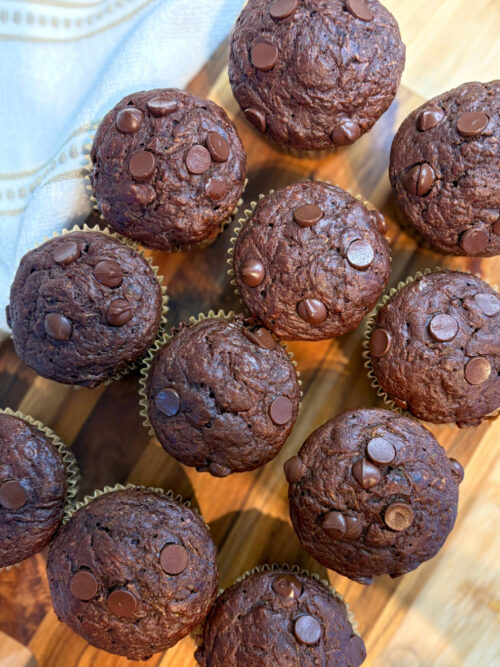 moist chocolate zucchini muffins