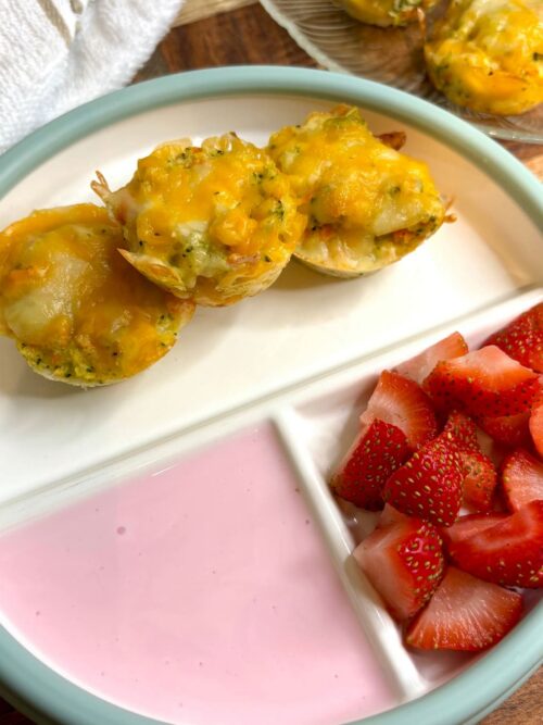 cheesy veggie bites